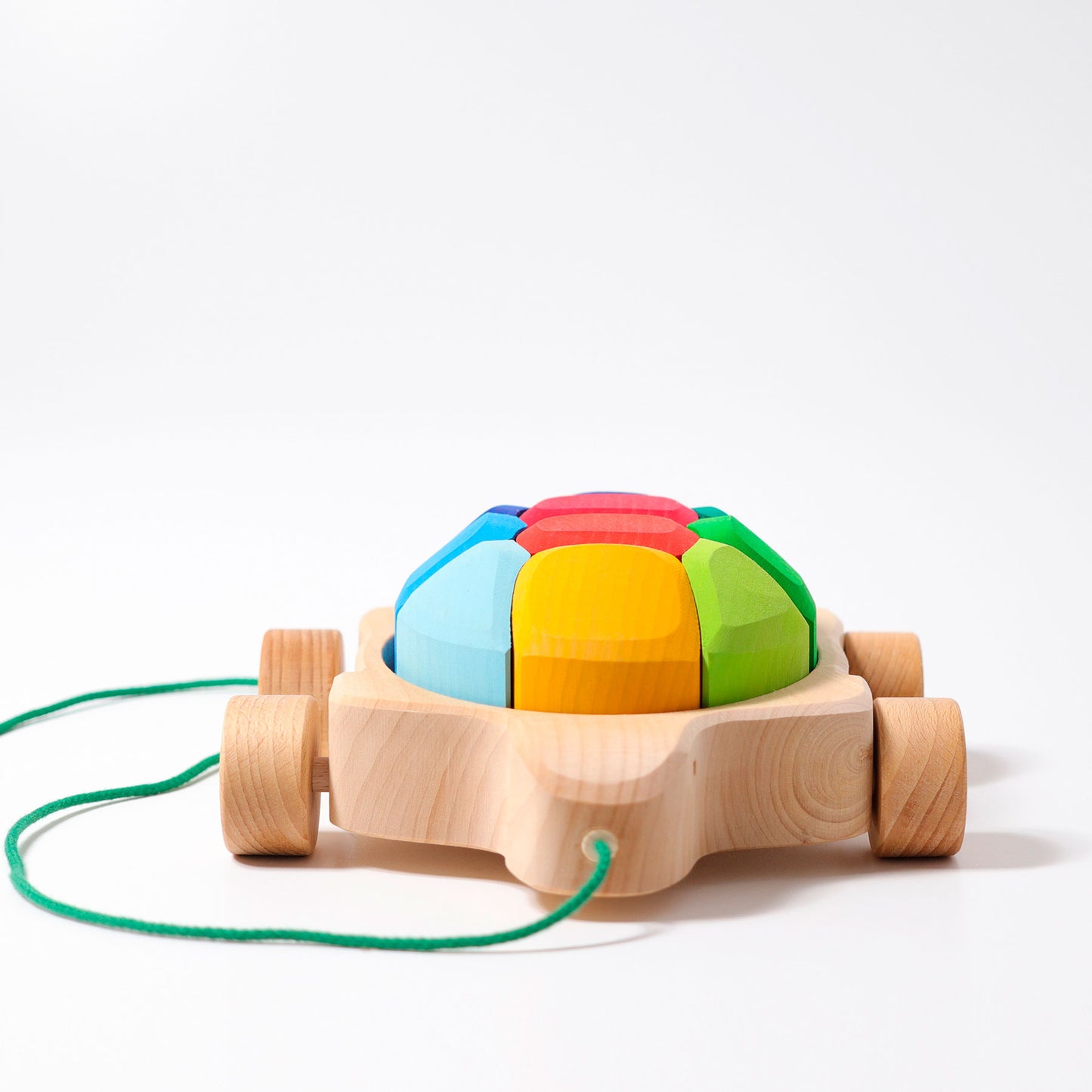 Regenbogen Schildkröte