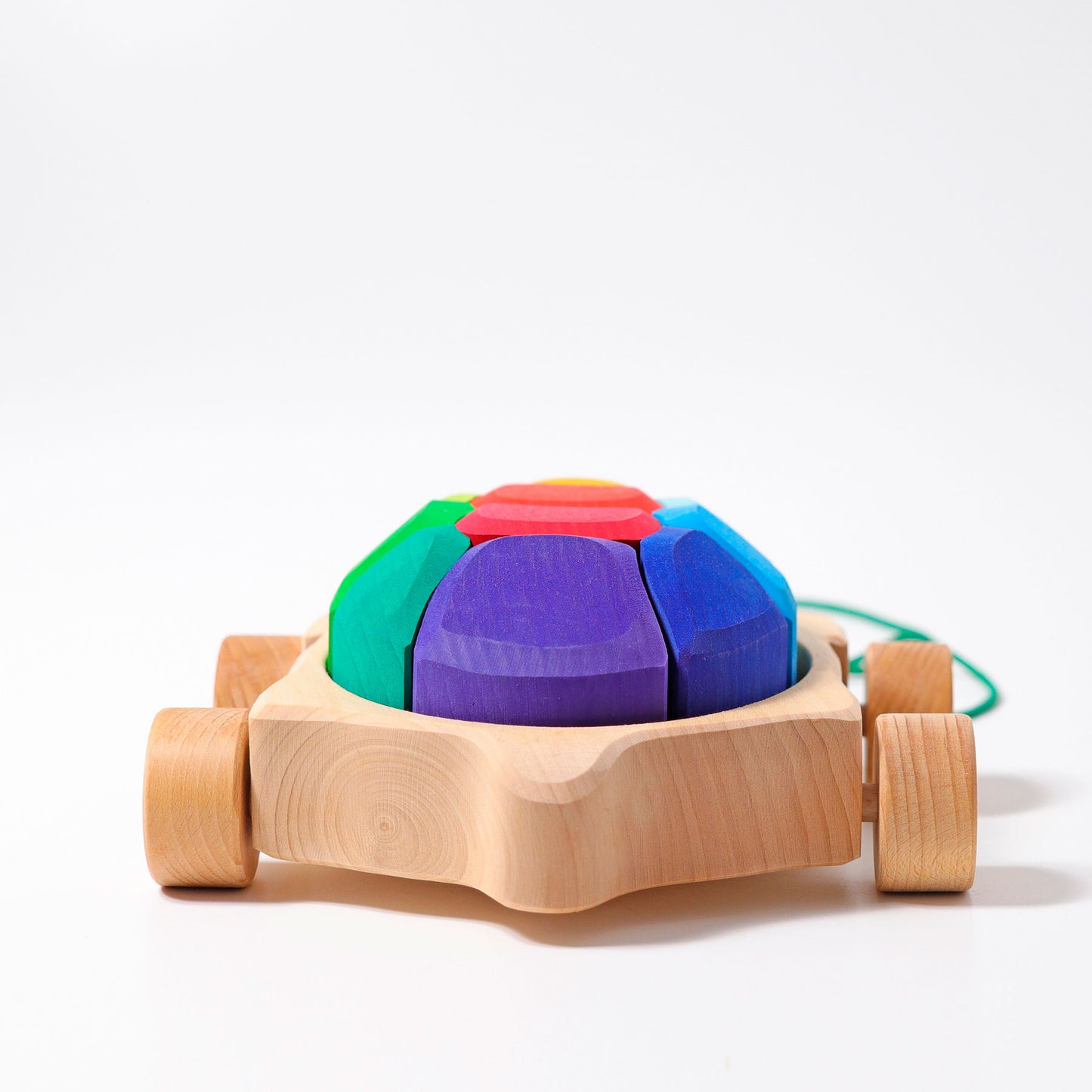 Regenbogen Schildkröte