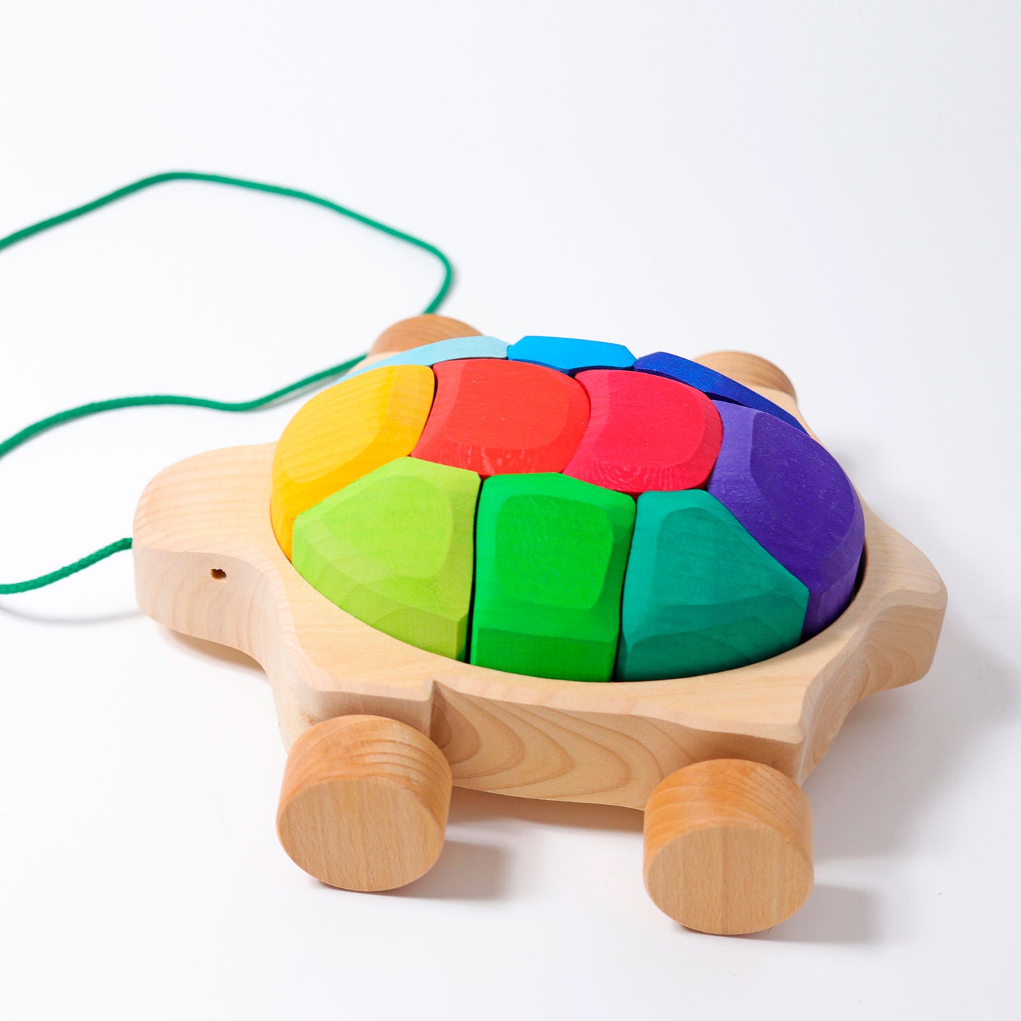 Regenbogen Schildkröte
