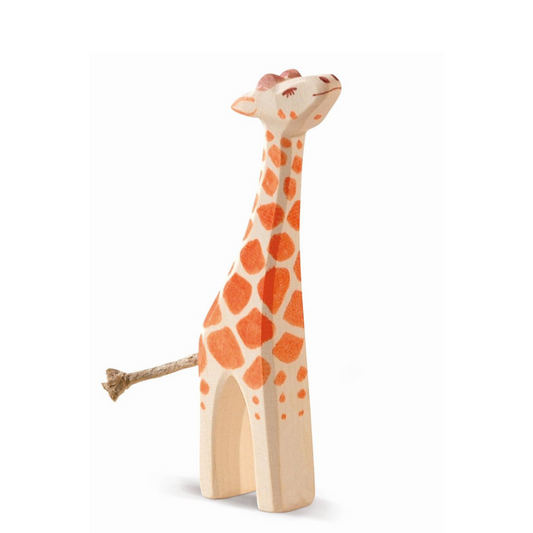 Giraffe klein Kopf hoch