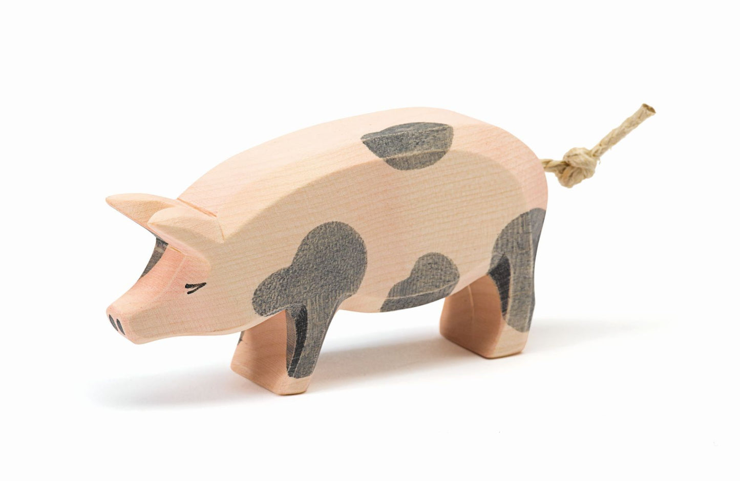 Schwein Kopf hoch gefleckt