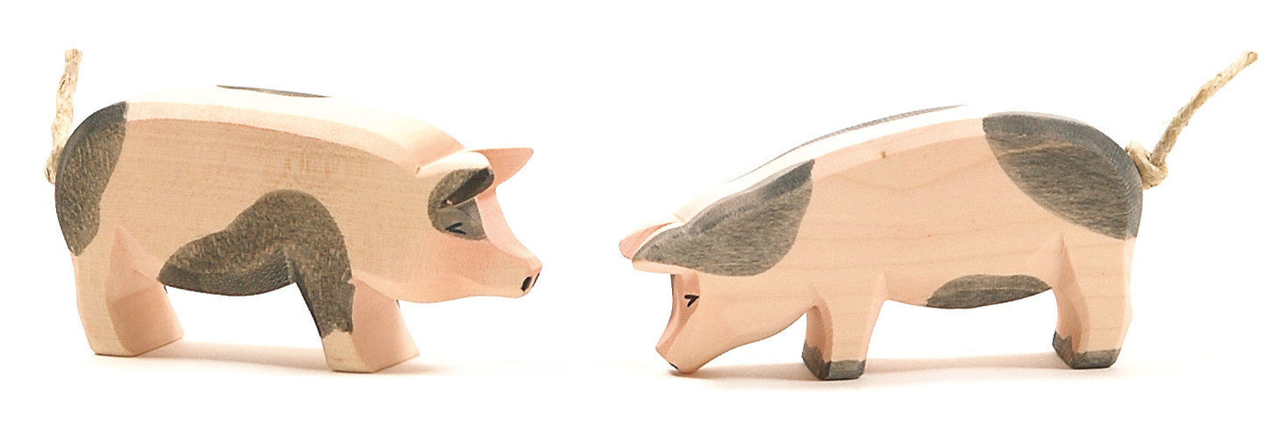 Schwein Kopf hoch gefleckt