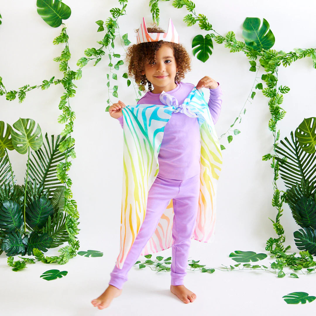 Rainbow Zebra Playsilk