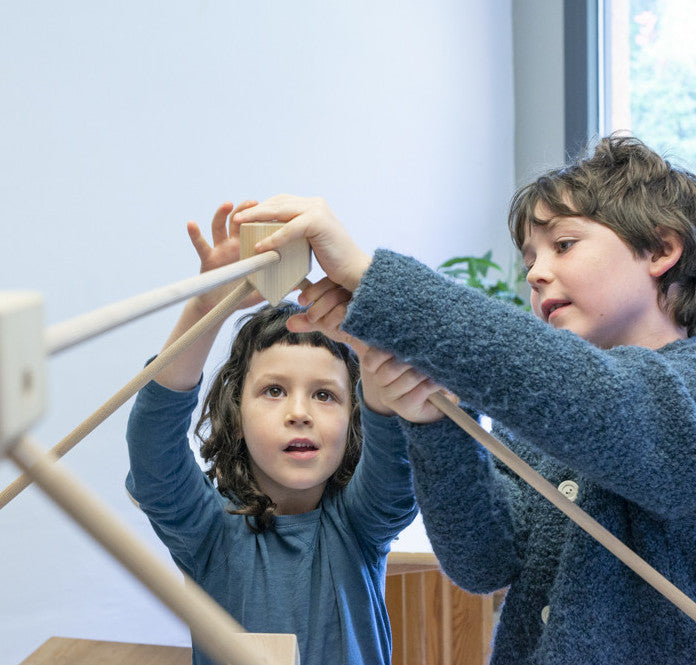 Trigonos Kernel Arbaro