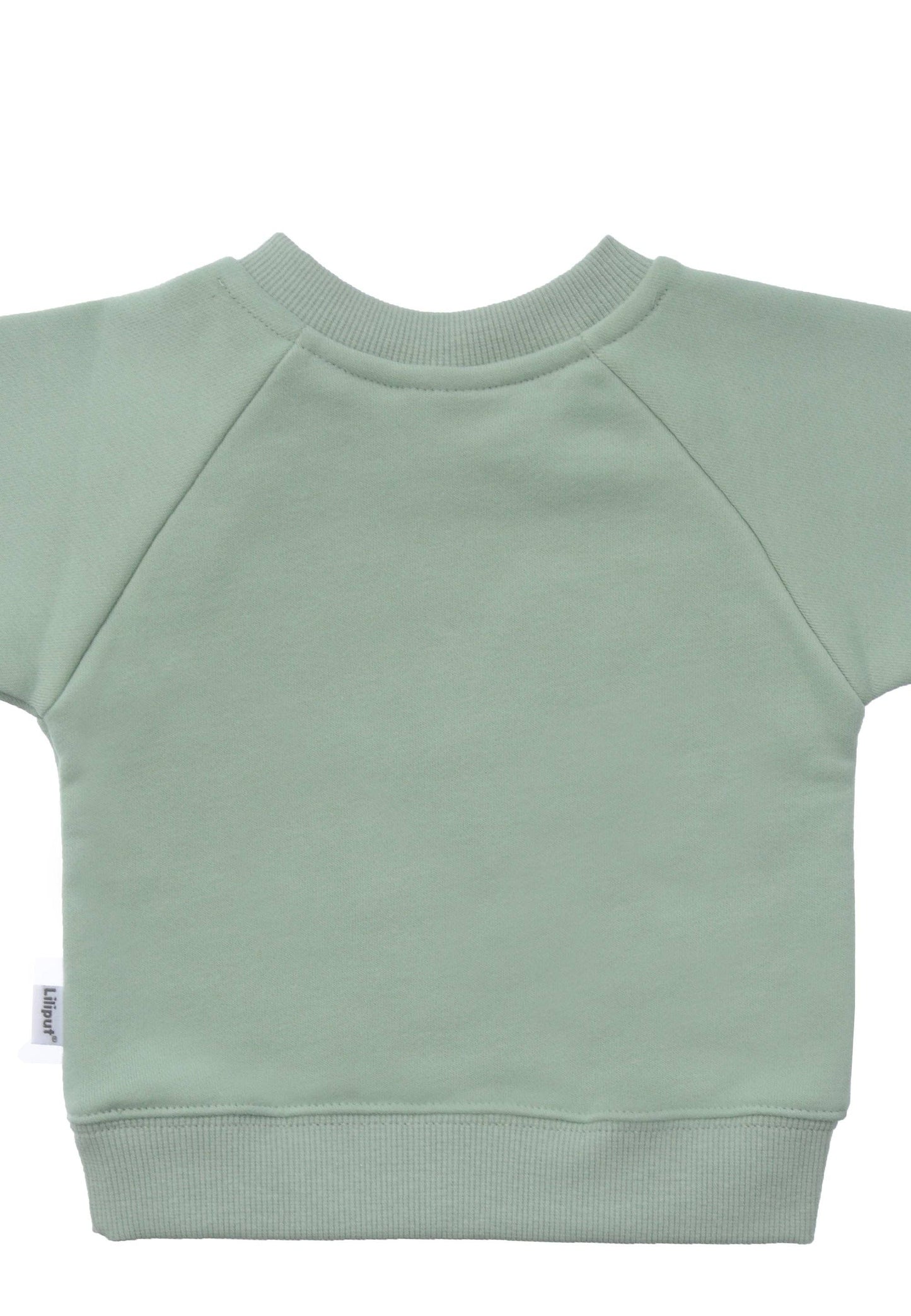 Sweatshirt in schilf mit Print "Dackel"