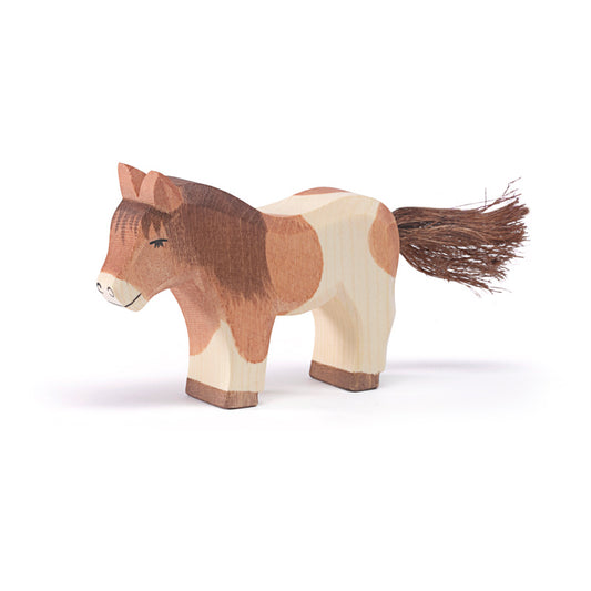 Shetland Pony stehend